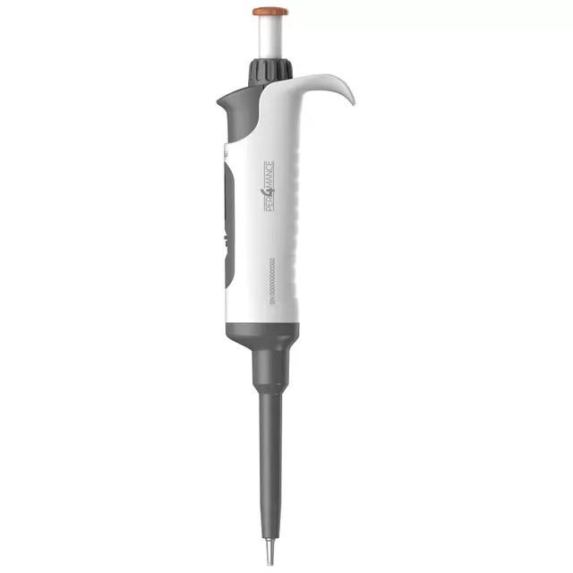 whatsapp image 2026 01 11 at 3.56.18 pm